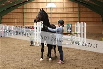 139265_kl_1_8M1Q6013.JPG