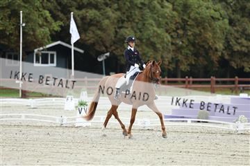 181923_mtp_02_R62_7068.JPG