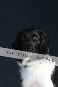 132082_le_ 01_IMG_0550.JPG