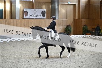 182176_kbb_01_Z094483.JPG