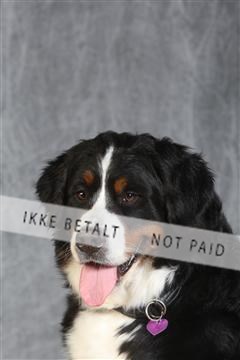 130054_le_ 03_0336.JPG