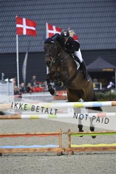 139644_abo_01__AB14379.JPG