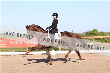 181449_bc_01R62_6403.JPG