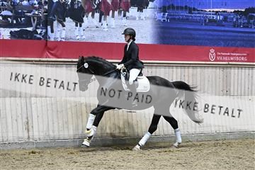 182241_kbb_01_Z095136.JPG