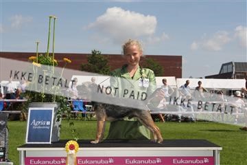 130370_se_03_IMG_7445.JPG