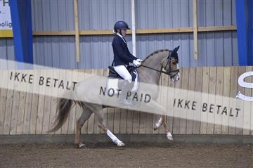 164814_ikd_01_IKD9569.JPG