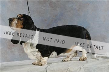 5493_sme _03__MG_9809.JPG