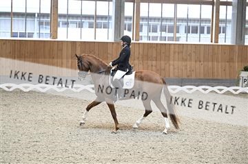 182176_kbb_01_Z093213.JPG
