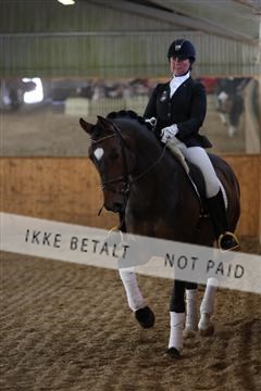 139206_kl_1_8M1Q5112.JPG