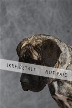 130054_le_ 03_0161.JPG