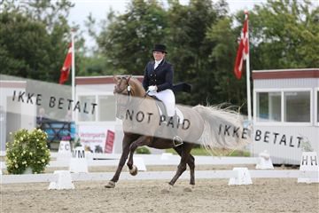 156196_nn_01_IMG_5369.JPG