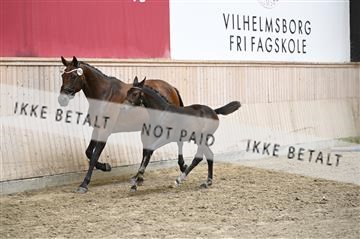 181754_kbb_01_Z094084.JPG