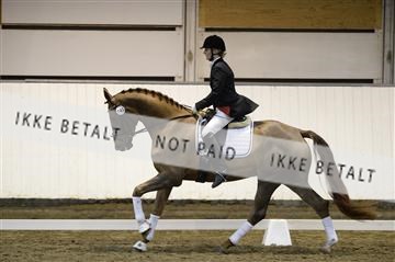141472_abo_01__AB15914.JPG