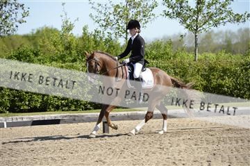 139815_ms_01__MS27070.JPG