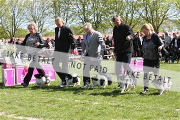 134871_ms_02_IMG_3321.JPG