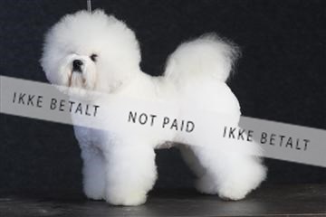 132082_le_ 01_IMG_0201.JPG