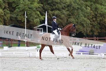 181923_mtp_01_R62_6417.JPG