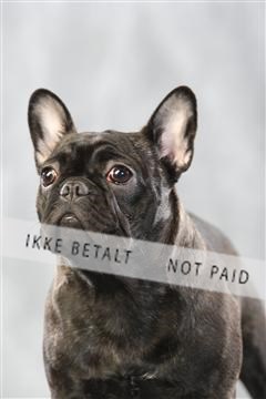 128239_le_kort_ 01_0447.JPG