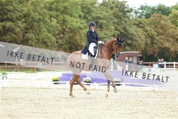 181923_mtp_04_R62_8362.JPG