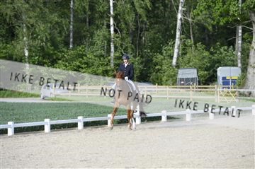 139898_ms_02__MS28744.JPG