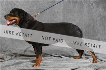 130054_le_ 03_0110.JPG