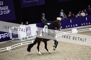 182194_avh_05_2317.JPG