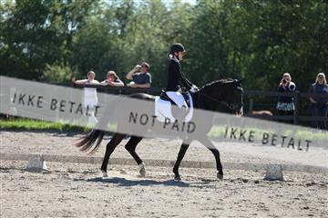 168732_mtp_01_3M5A6373.JPG