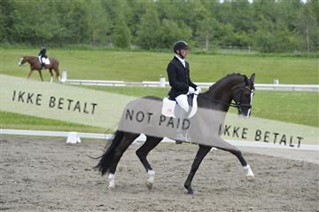 140040_abo_01__AB16751.JPG