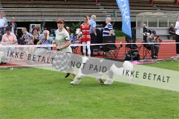 135616_jbr_03_IMG_1897.JPG