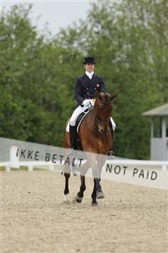 139835_sg_02_IMG_8543.JPG