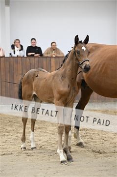 181739_kbb_01_Z092465.JPG