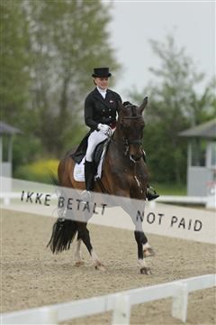 139835_sg_02_IMG_8669.JPG