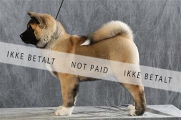 128239_le_ 06_0049.JPG