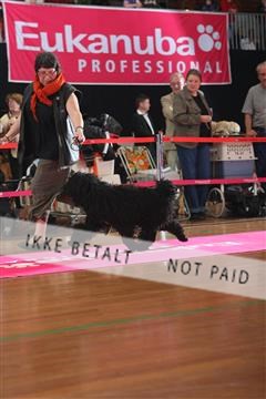 6068_ma_05_IMG_5800.JPG
