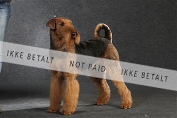 132082_le_ 01_IMG_0434.JPG