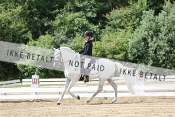 156196_nn_01_IMG_6105.JPG