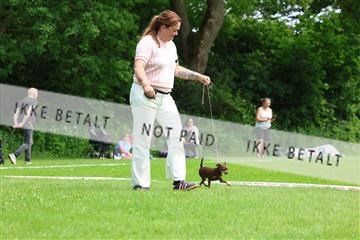 181564_rin_02_R62_1617.JPG