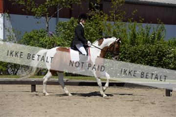 139815_ms_01__MS27364.JPG