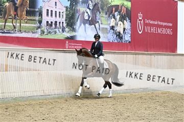 182241_kbb_01_Z095198.JPG