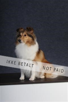 132082_le_ 01_IMG_0789.JPG