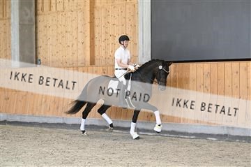181595_kbb_01_Z097864.JPG