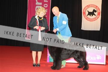 126827_tl_02_IMG_3107.JPG