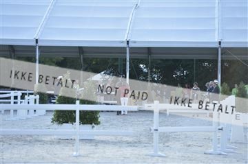 144462_bc_03__BC20776.JPG