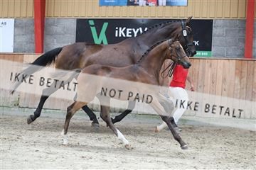 181868_mtp_03_R62_5818.JPG