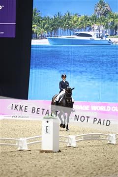 182194_avh_06_3326.JPG