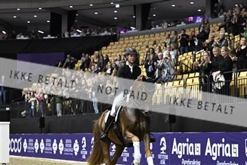 182194_kbb_03_Z092936.JPG