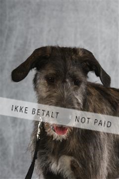 129608_le_ 02_0127.JPG