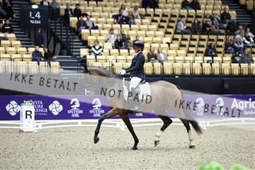 182194_mlm_02_R62_0234.JPG