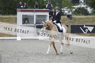 166078_rhj_01__J7R3581.JPG