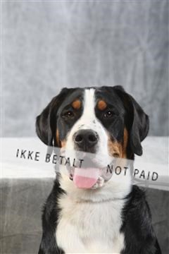 129608_le_ 02_0427.JPG